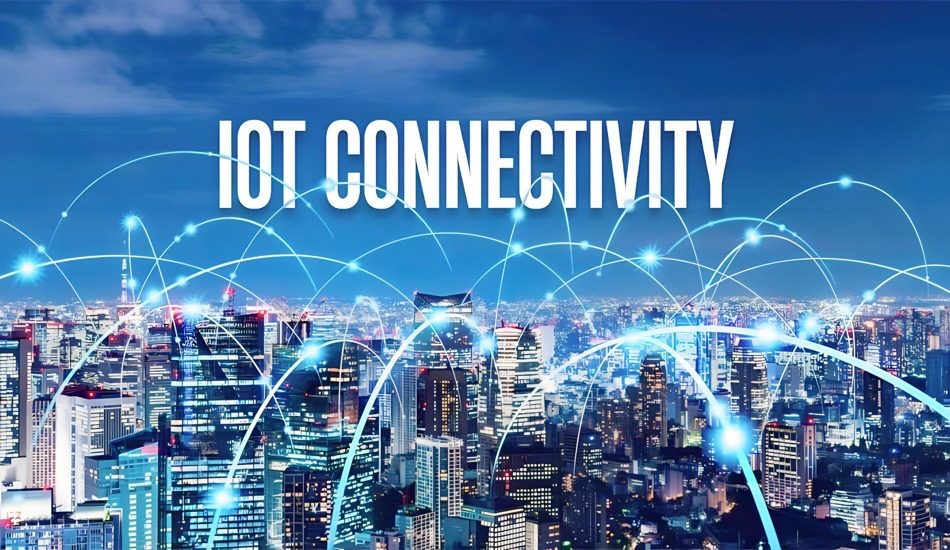 Unlocking the Potential of IoT Connectivity